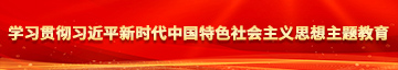 操逼逼操逼操逼逼学习贯彻习近平新时代中国特色社会主义思想主题教育